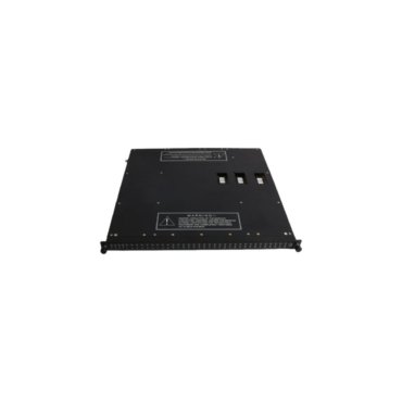 triconex-3664-invensys-dual-digital-output-modules-24-vdc-wjwjwxs14sh.jpg