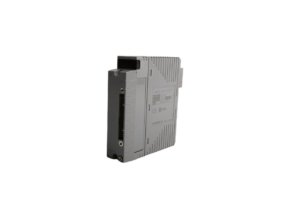 yokogawa-aai143-s00-s1-analog-input-module-csiiuvn4z0r.jpg